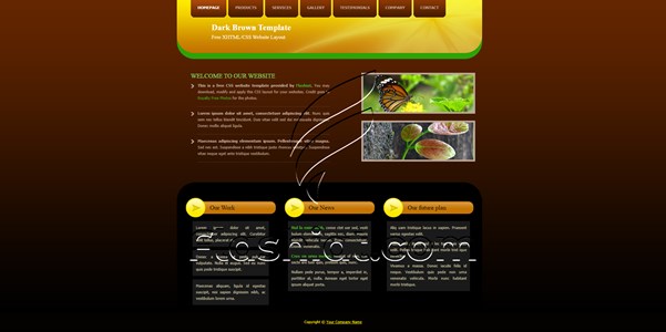 Dark Brown - Free XHTML & CSS Template