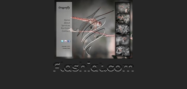 Dragonfly - Free XHTML & CSS Template