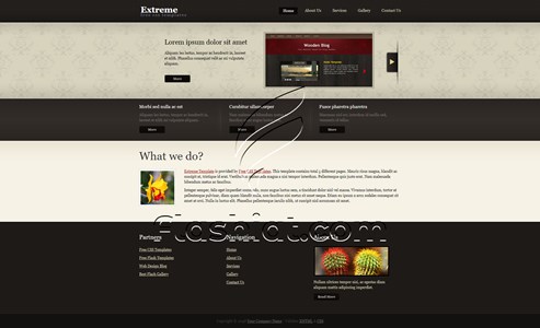 Extreme - Free XHTML & CSS Template