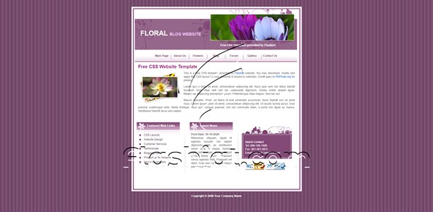 Floral - Free XHTML & CSS Template