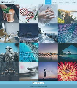 Fluid Gallery Color - Free XHTML & CSS Template