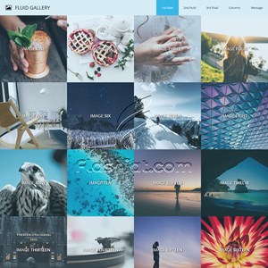 Fluid Gallery Color - Free XHTML & CSS Template