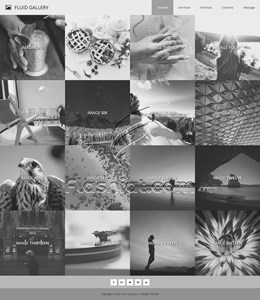 Fluid Gallery Gray - Free XHTML & CSS Template