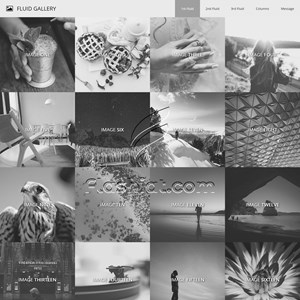 Fluid Gallery Gray - Free XHTML & CSS Template