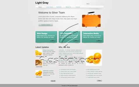 Light Gray 2 - Free XHTML & CSS Template