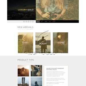 Luxury Gold - Free HTML5 & CSS Template