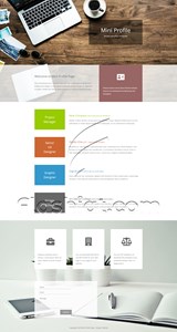 Mini Profile - Free HTML5 & CSS Template