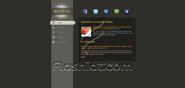 Mini Social - Free XHTML & CSS Template