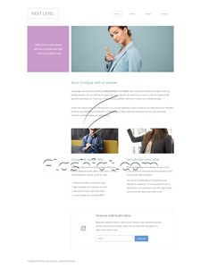 Next Level - Free HTML5 & CSS Template