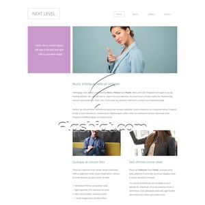 Next Level - Free HTML5 & CSS Template