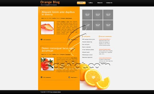 Orange - Free XHTML & CSS Template