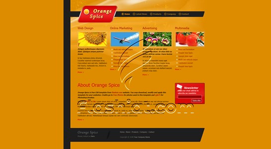 Orange Spice - Free XHTML & CSS Template