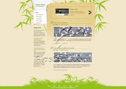 Paper Blog - Free XHTML & CSS Template