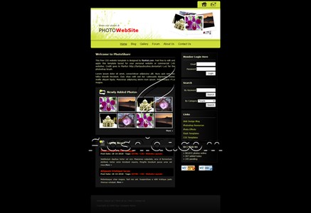 Photo - Free XHTML & CSS Template