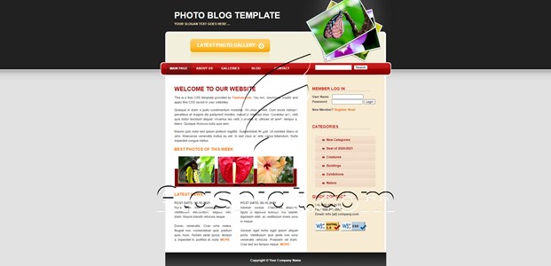 Photoblog - Free XHTML & CSS Template