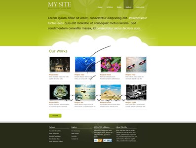 Portfolio 2 - Free XHTML & CSS Template