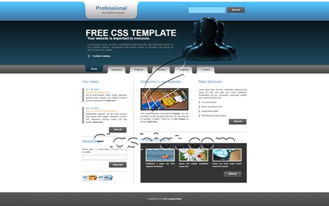 Professional - Free XHTML & CSS Template