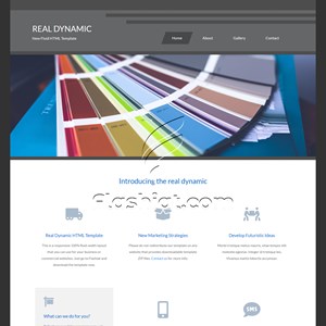 Real Dynamic - Free HTML5 & CSS Template