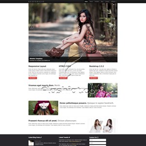 Responsive - Free HTML5 & CSS Template