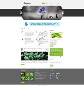 Runner - Free XHTML & CSS Template