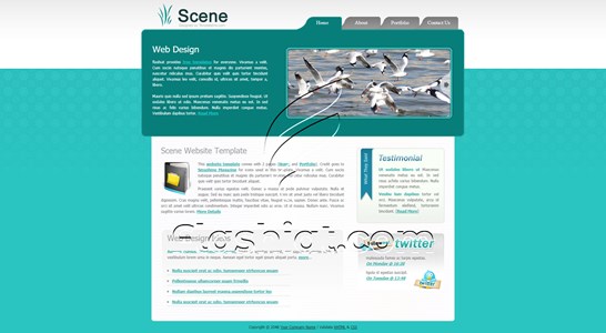 Scene - Free XHTML & CSS Template