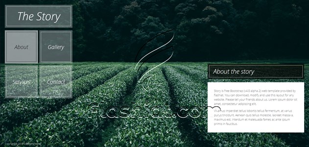 Story - Free HTML5 & CSS Template