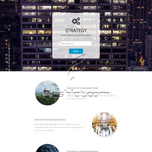 Strategy - Free HTML5 & CSS Template