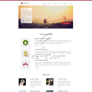Tamarillo - Free HTML5 & CSS Template