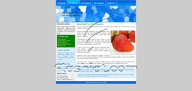 Three - Free XHTML & CSS Template