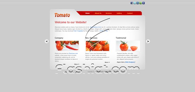 Tomato 2 - Free XHTML & CSS Template