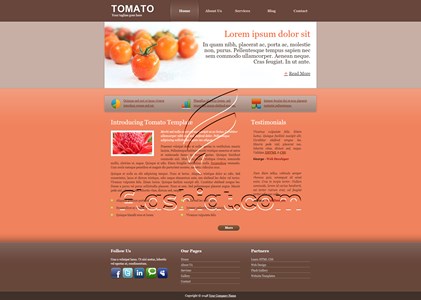 Tomato 3 - Free XHTML & CSS Template