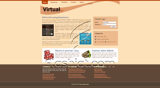 Virtual Site - Free XHTML & CSS Template