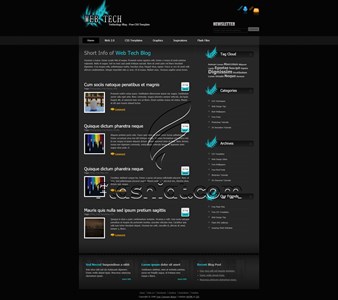 Web Tech - Free XHTML & CSS Template